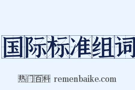 国际标准组词是什么意思的图片